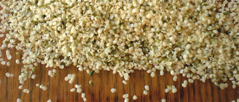 hemp hearts, hemp benefits, hemp protein