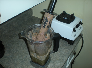 vitamix smoothie, herbal elixirs, vitamix ice cream, elixir of life, elixir of immortality