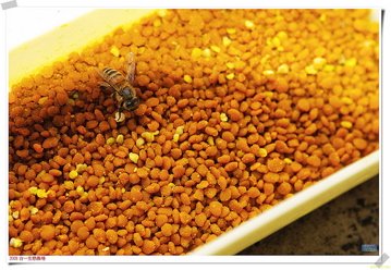 bee pollen benefits, benefits of taking bee pollen, bee pollen granules, bee pollen information, bee pollen vitamins