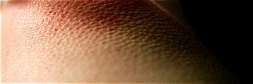 cold showers, water secrets, benefits of water, cold shower, factors of longevity cold showers, water secrets, benefits of water, cold shower, factors of longevity